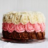 Neapolitan-cake-1