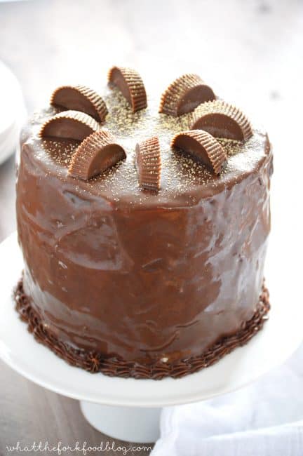 http://iambaker.net/wp-content/uploads/2016/05/Chocolate-Peanut-Butter-Cup-Ice-Cream-Cake-1-432x650.jpg