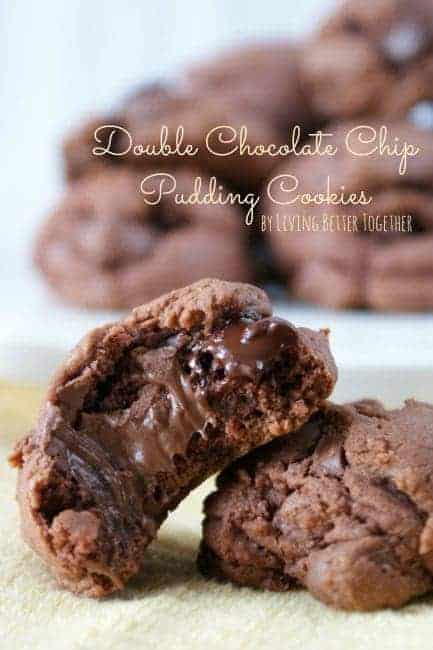 http://iambaker.net/wp-content/uploads/2016/06/Double-Chocolate-Chip-Cookie141-433x650.jpg