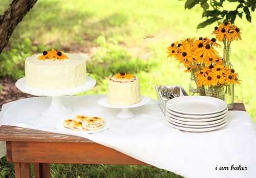 Black Eyed Susan Cake