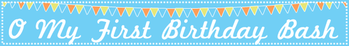 Omyfirstbirthday-long