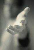 Hand Hand
