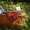 Picnic for the Planet.