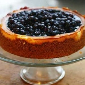 ultimate blueberry cheesecake