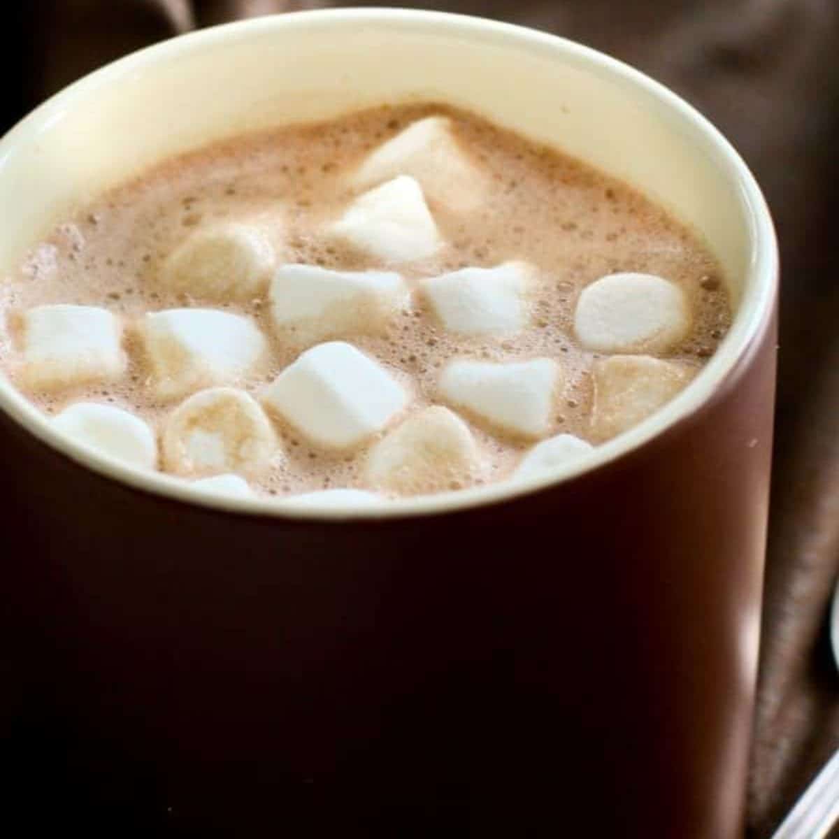 The Best Homemade Hot Chocolate Recipe {VIDEO} | I Am Baker