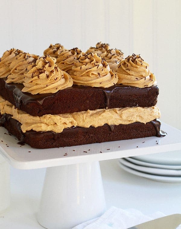 Chocolate Pumpkin Cake