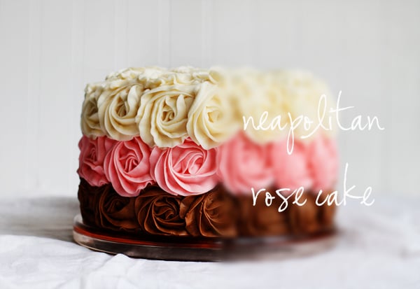 Neapolitan Cake