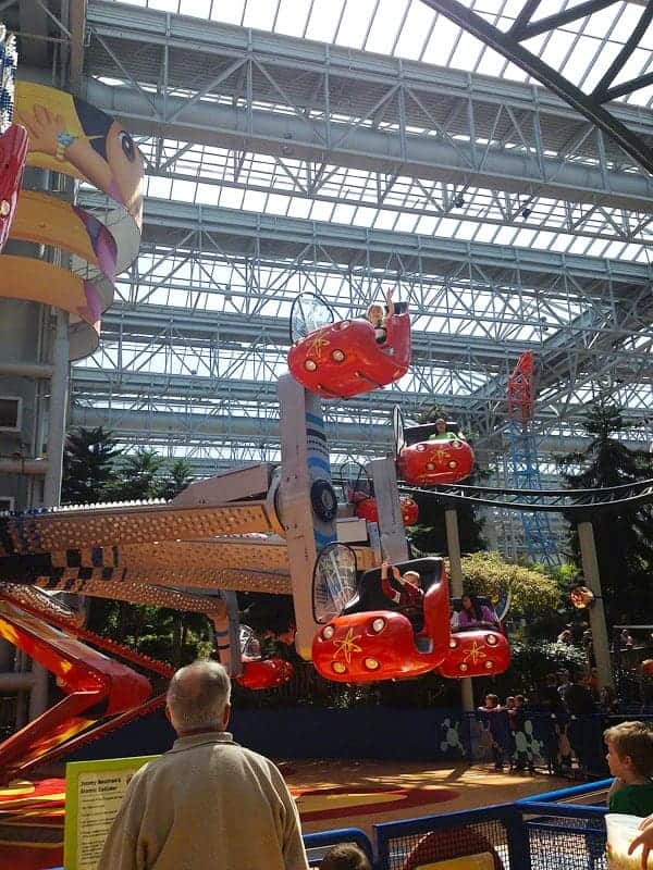 Priceless Memories~Fun at the Mall of America! | i am baker