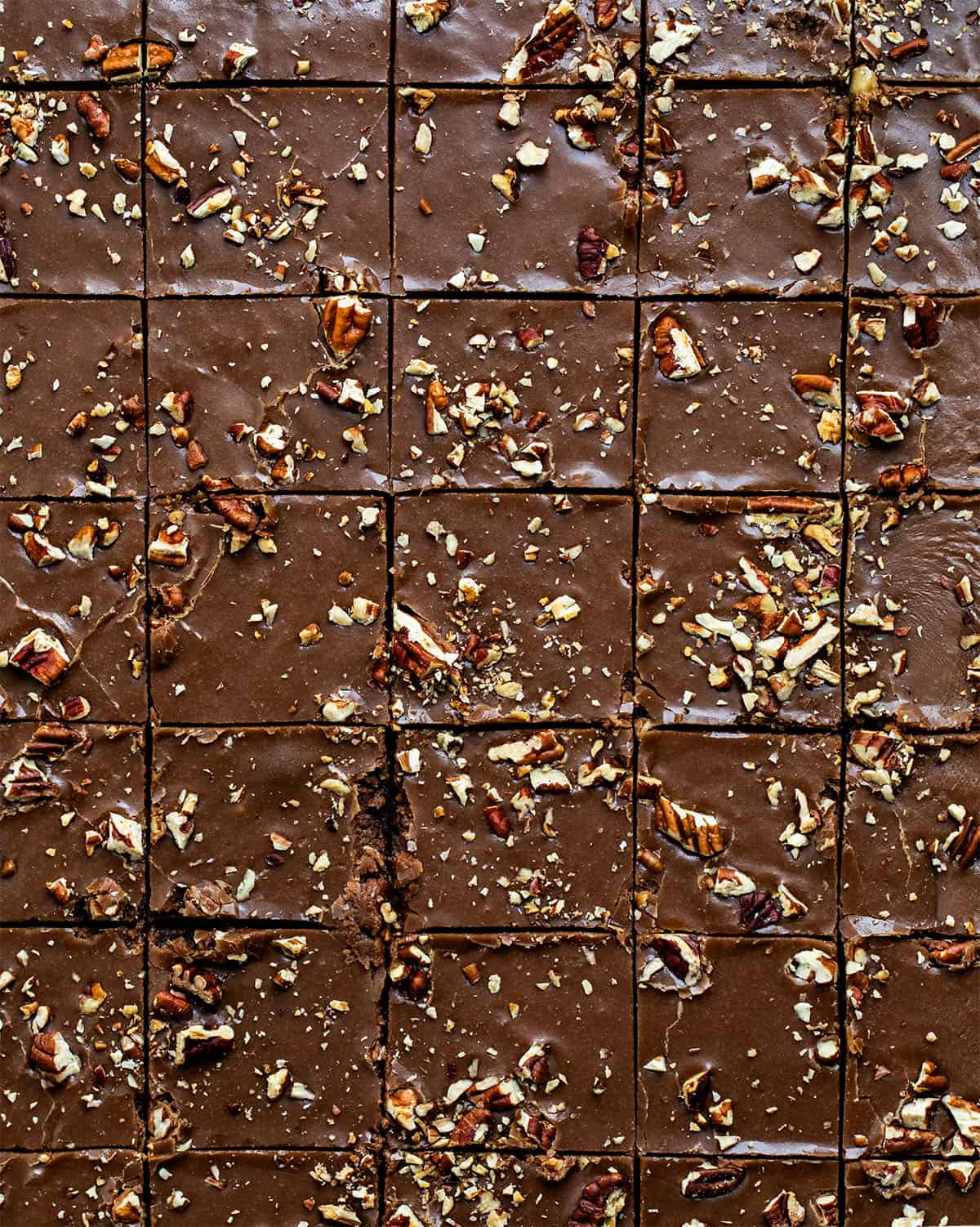 Texas Brownie Cake cut into squares in the pan.