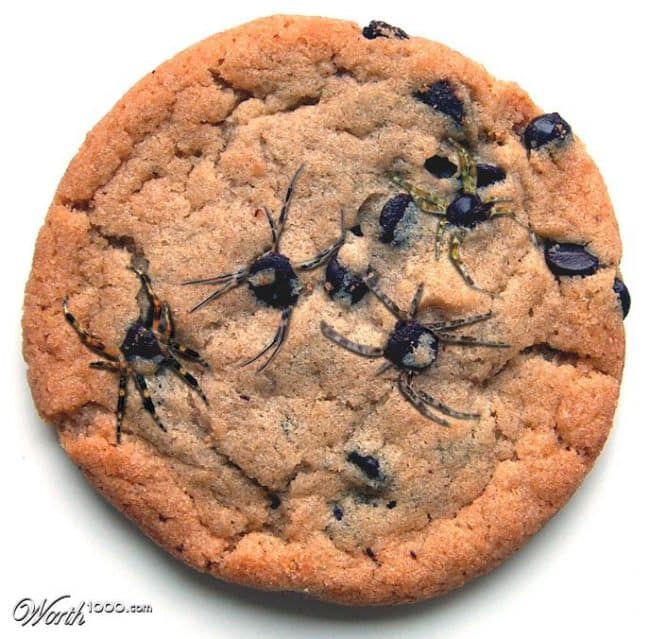 See how to make this cookie with chocolate at iambaker.net!