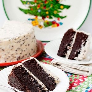Chocolate Cake with Kahlua Frosting #foodstylingchallenge