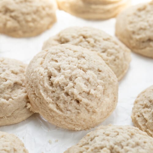 Close up of Cinnamon Butter Cookies on a White Counter Showing the Delicate Texture.