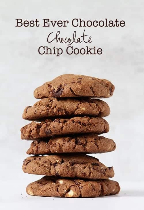 Chocolate Chocolate Chip Cookies based on the NYTimes Best Recipe!