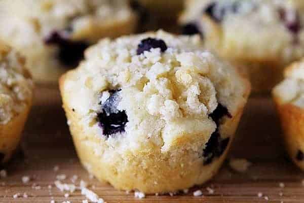 blueberry-muffin