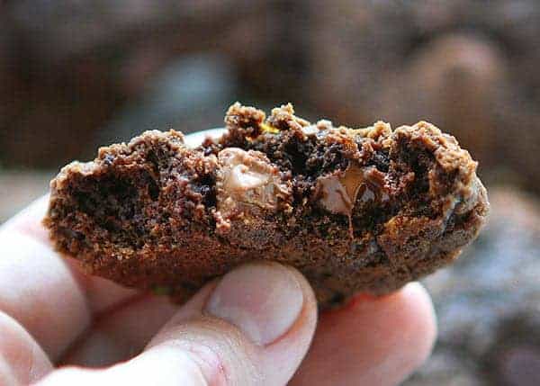 Triple Chocolate Zucchini Cookies!