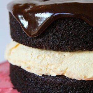 Buckeye Cake from The Biscoff Cookie & Spread Cookbook!