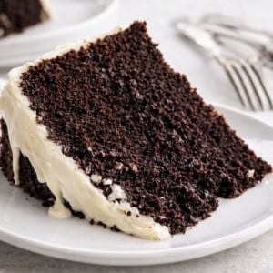 Piece of moist Chocolate Beer Cake on a white plate.