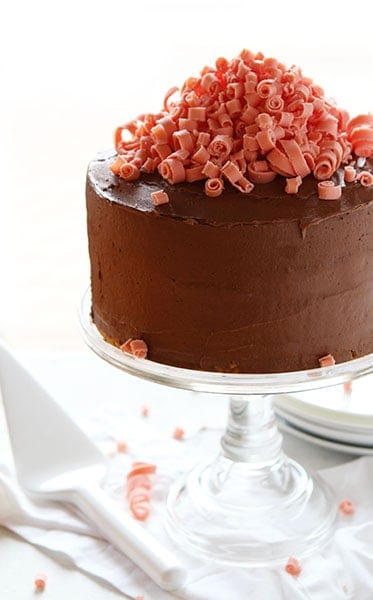 Chocolate Laye Cake with Chocolate Chip Cookie Layers and Mini Pink Chocolate Curls!