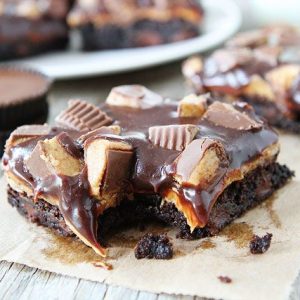 Amazing Brownie Recipes