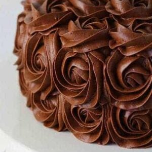 Whipped Chocolate Buttercream Rose Cake!