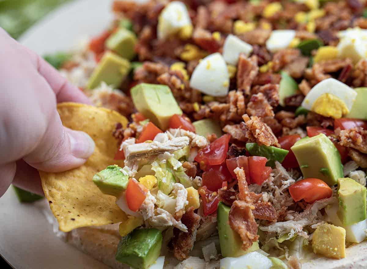 Chip dipping into Southwest Cobb Salad Dip showing the eggs, bacon, tomatoes, lettuce, and avocado over a creaming seasoned base.