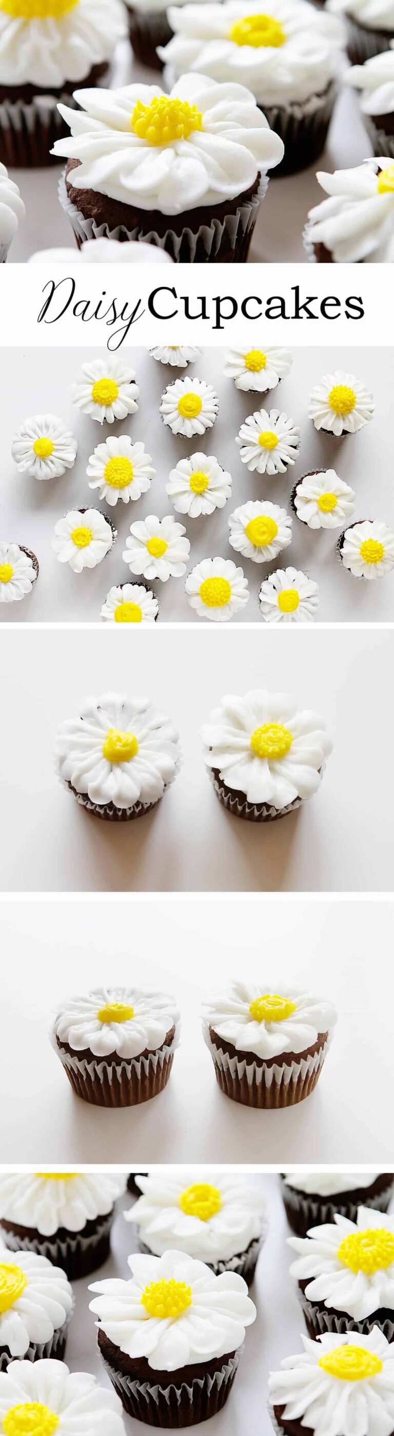 How to Pipe a Buttercream Daisy i am baker