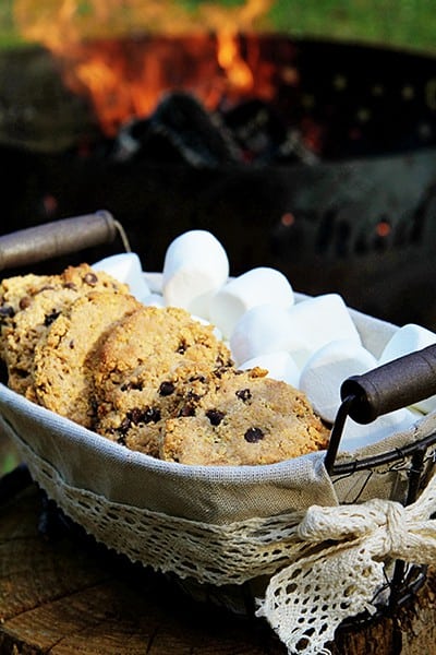 Graham Cracker Chocolate Chip Cookies~ Only Three Ingredients!