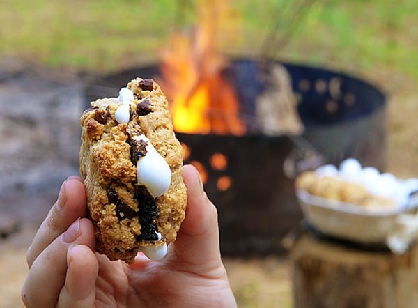 Graham Cracker Chocolate Chip Cookies~ Only Three Ingredients!