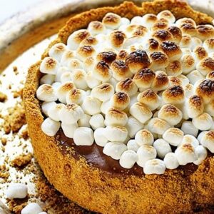 Frozen Smores Cheesecake!