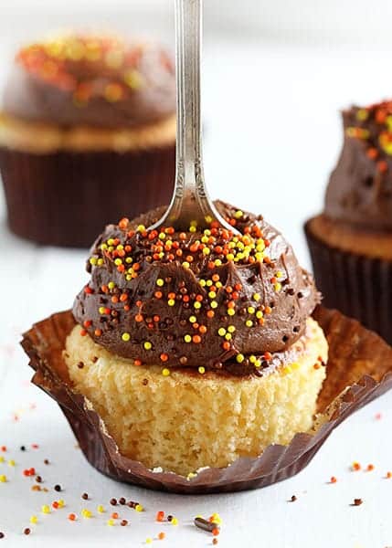 The Perfect Fall Cupcake!