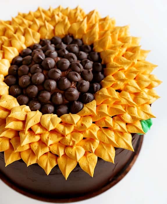 Simply cake but so pretty to look at!