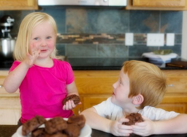 You will never want to use another Chocolate Cookie recipe!