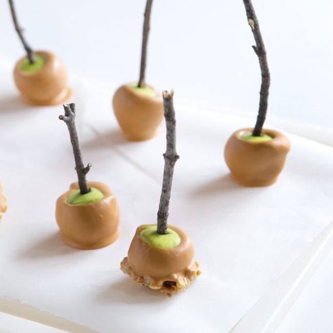 Find out how easy these seasonal mini apples are to make!