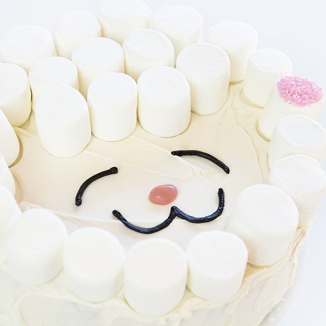 Decorating a Cake with Marshmallows: The Ultimate Guide