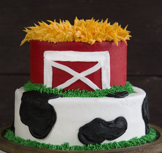 East and FUN Cow & Barn Cake! {VIDEO}