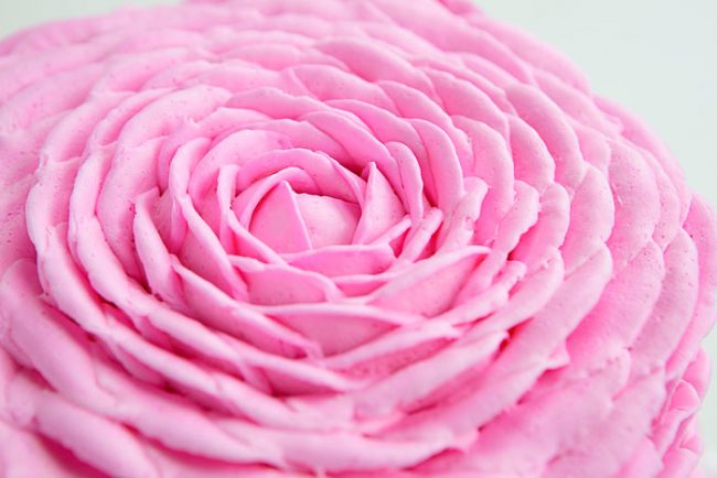 This beautiful pink buttercream rose is actually very easy!