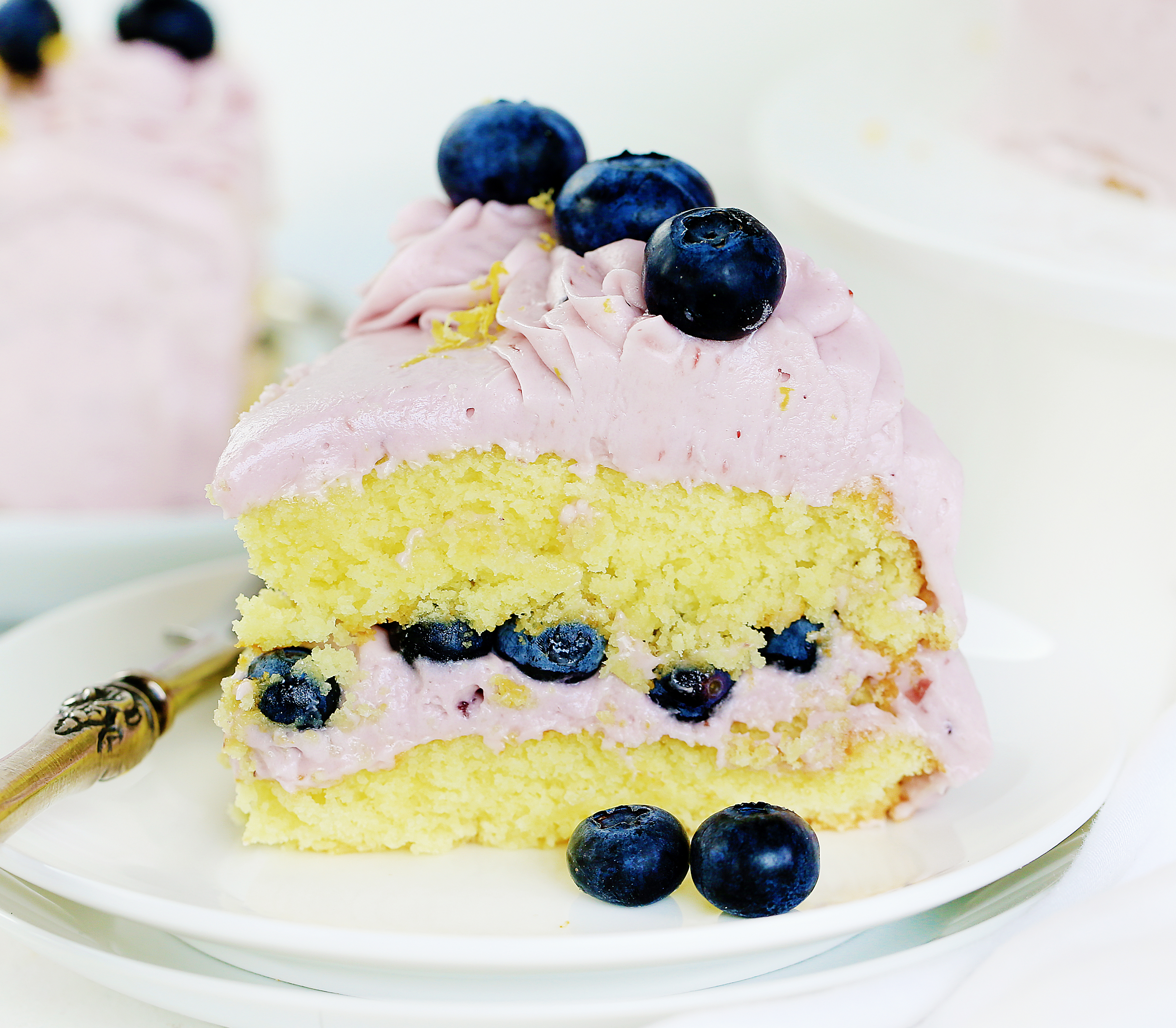 Blueberry Lemon Soda Cake - Slice