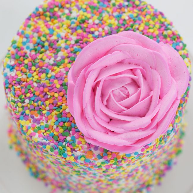 A beautiful pink buttercream rose sits on top of a cake covered in fun sprinkles!