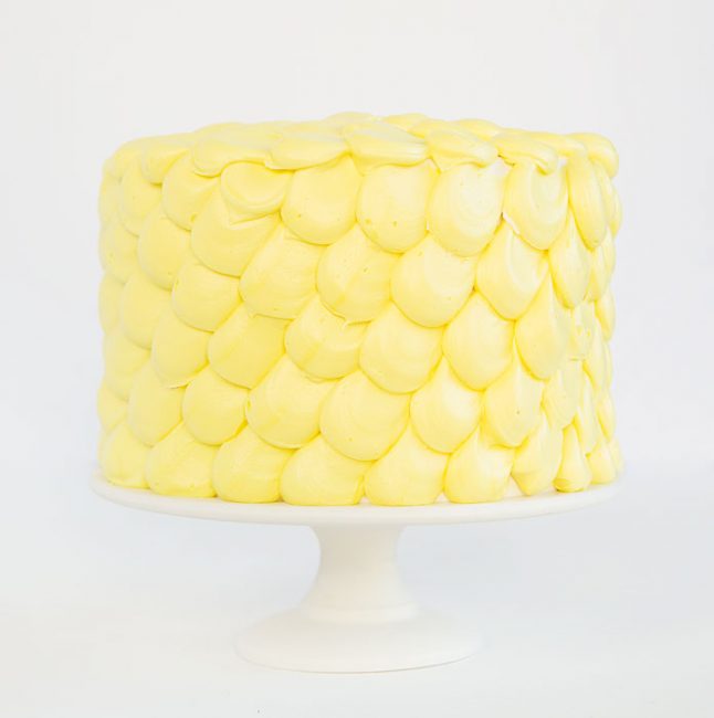 Simple yet elegant design perfect for beginning cake decorators!