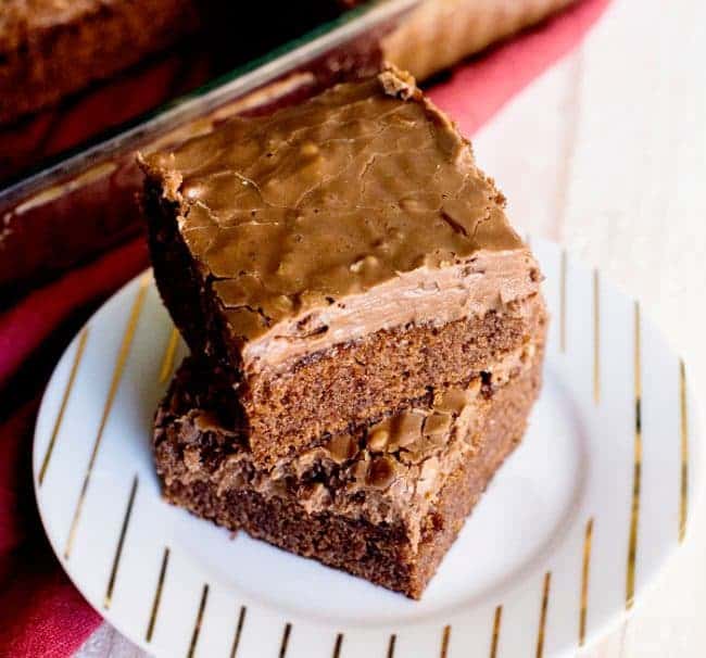 Two glorious pieces of chocolate cake with chocolate frosting!