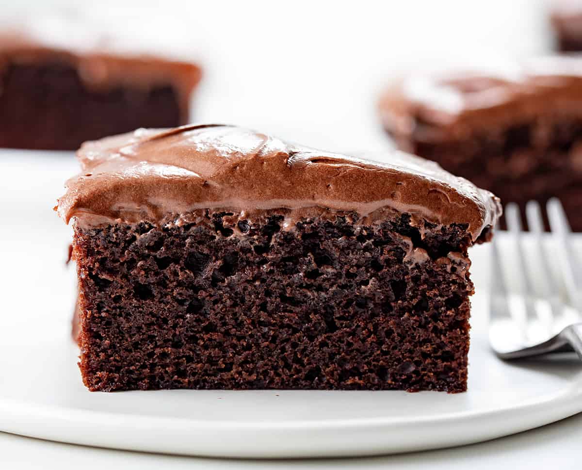 One Piece of Double Fudge Cake on a White PLate with Other Pieces Around It.