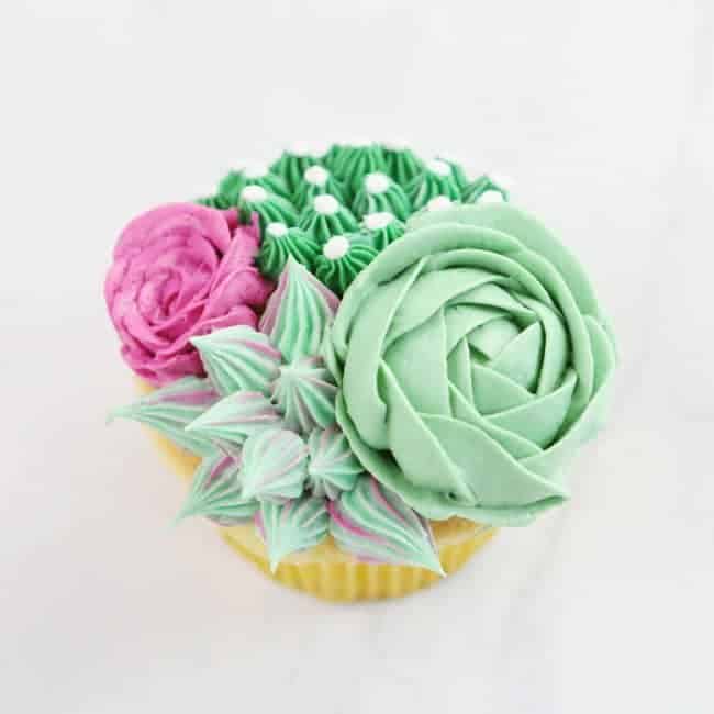 {VIDEO} on how to make thee fun succulent cupcakes!