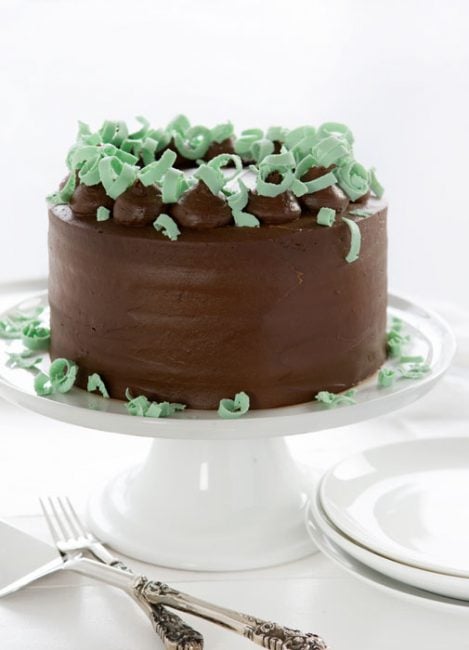 Best Chocolate-Mint Layer Cake — How to Make Chocolate-Mint Cake