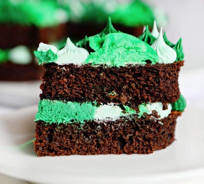 Shamrock St. Patricks Day Cake