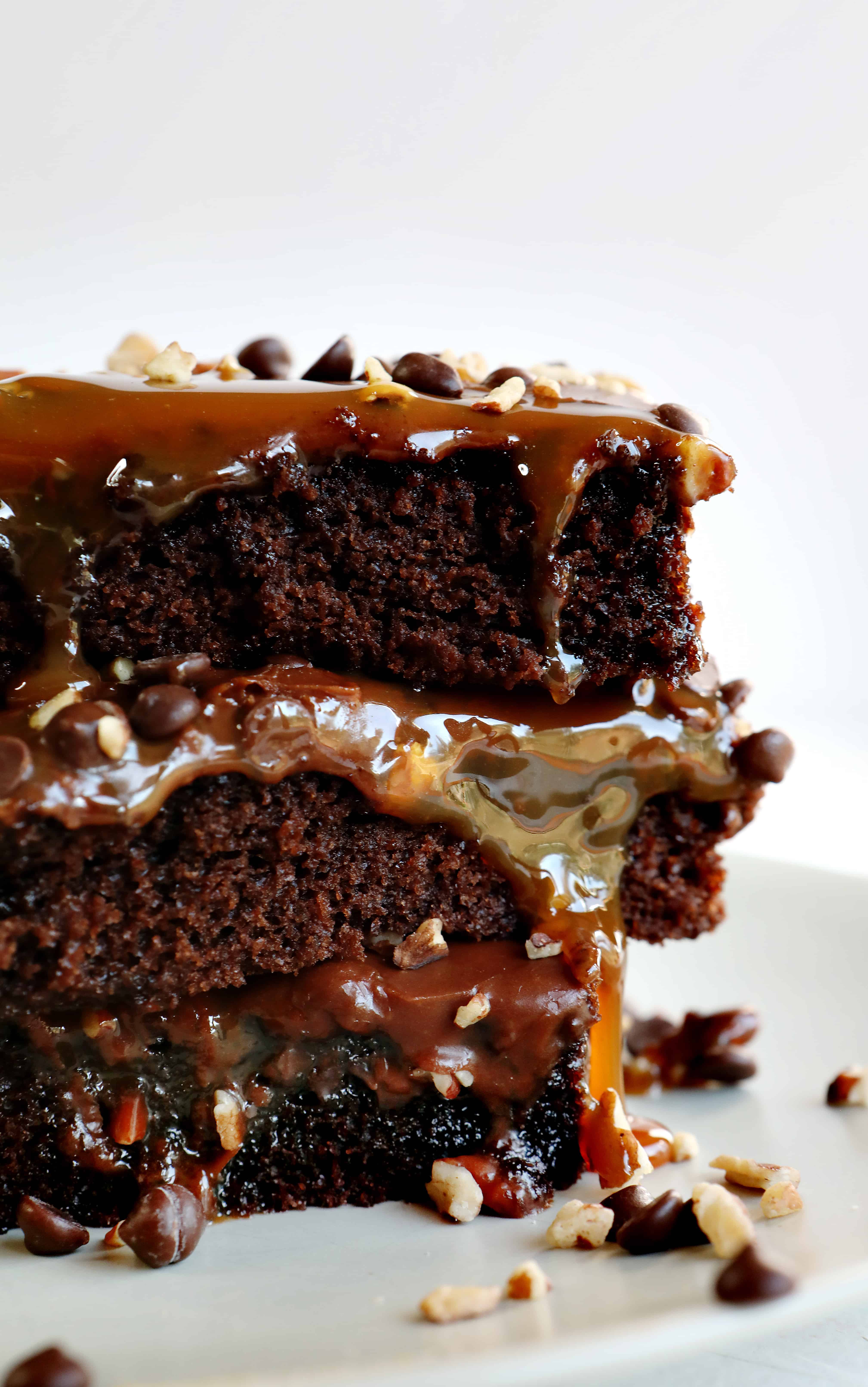 Texas Turtle Sheet Cake {VIDEO} | i am baker