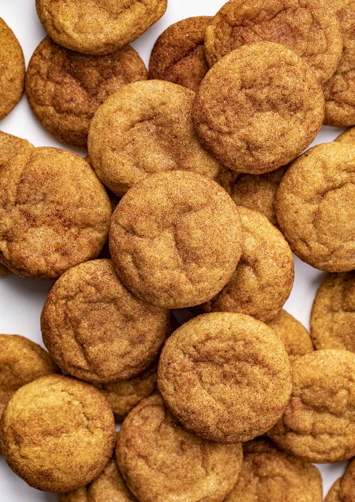 Overhead of Pumpkin Snickerdoodle Cookies