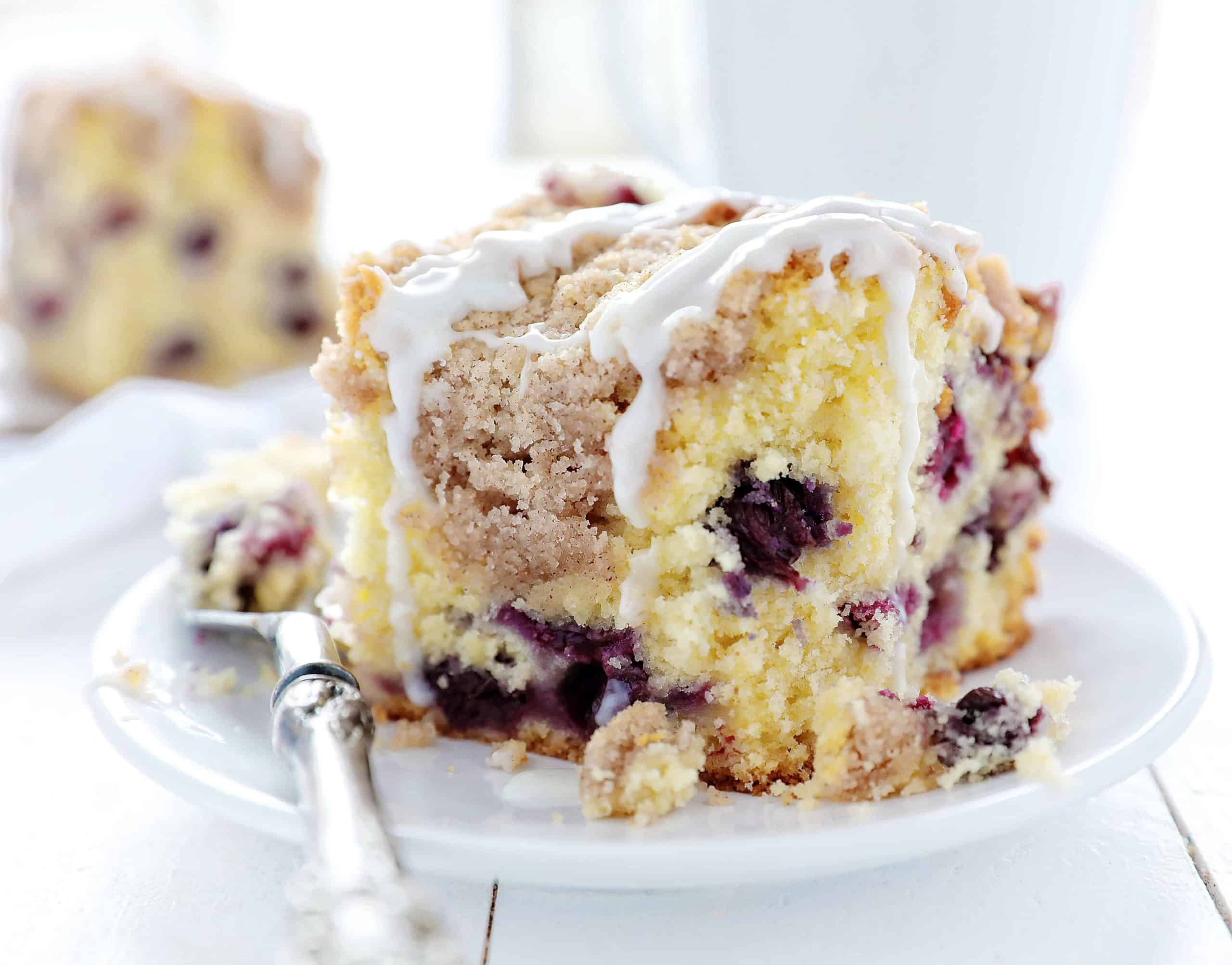 One Piece of Blueberry Coffee Cake on White Plate