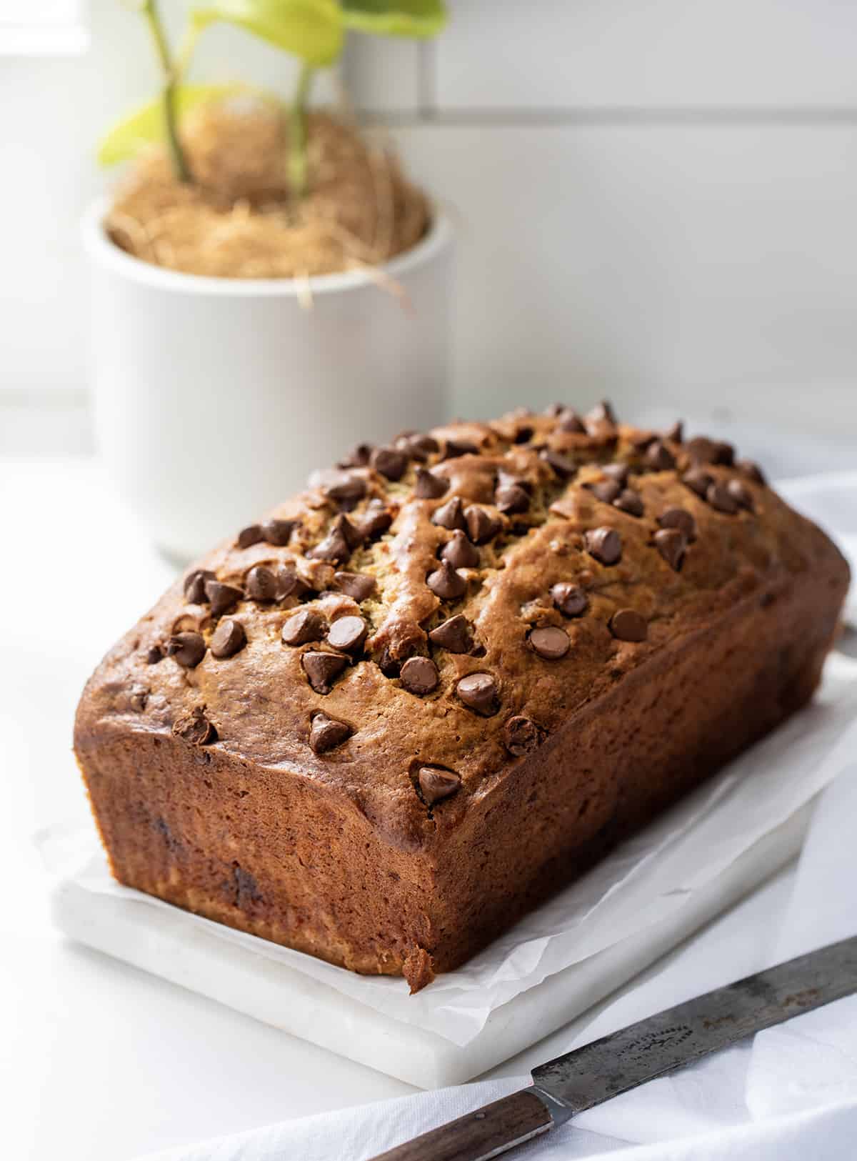Loaf of Chocolate Chip Banana Bread on a Counter in Front of a Window with a Plant.