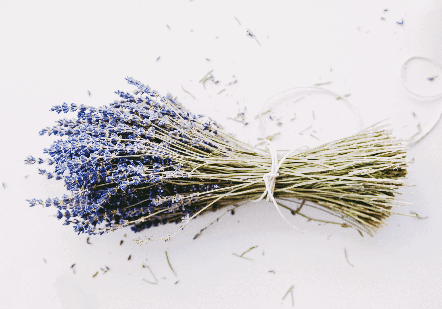 Natural Benefits of Lavender 