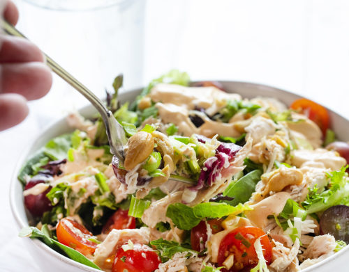 Preposterous Chicken Salad - i am baker